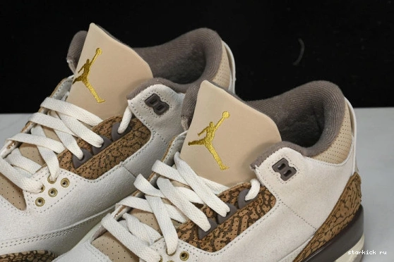 Retro Jordan  3  CT8532-102 Palomino CT8532-102 0925